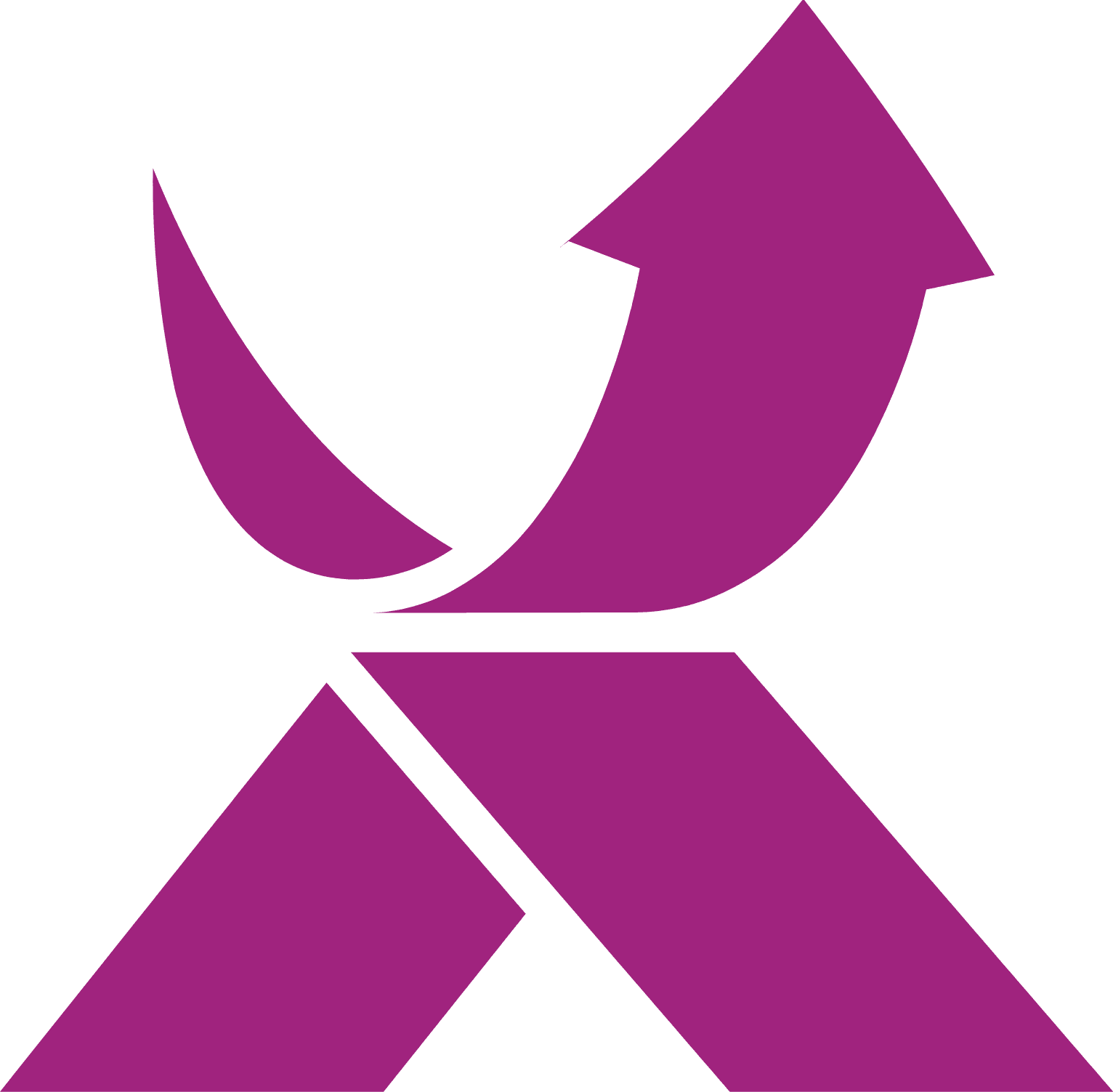 Exclusive Networks Logo